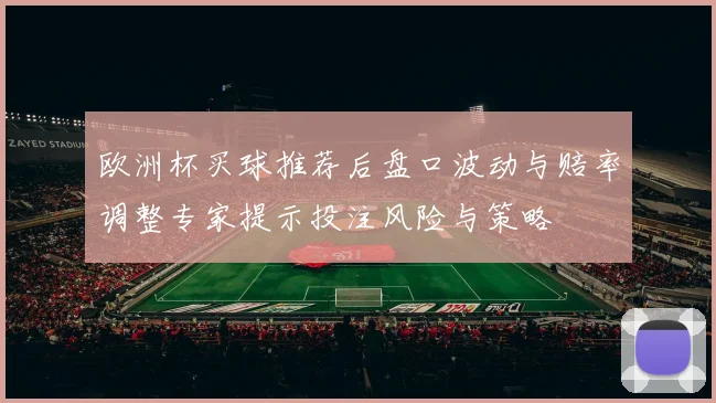 欧洲杯买球推荐后盘口波动与赔率调整专家提示投注风险与策略