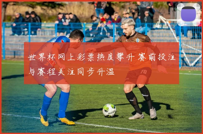 世界杯网上彩票热度攀升 赛前投注与赛程关注同步升温