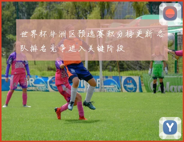 世界杯非洲区预选赛积分榜更新 各队排名竞争进入关键阶段