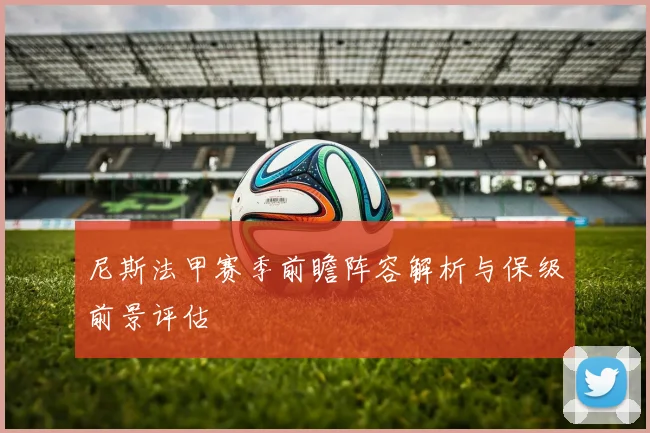 尼斯法甲赛季前瞻阵容解析与保级前景评估