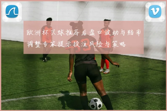 欧洲杯买球推荐后盘口波动与赔率调整专家提示投注风险与策略